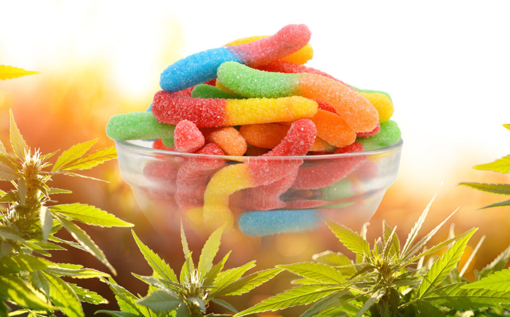CBD Gummies Benefits