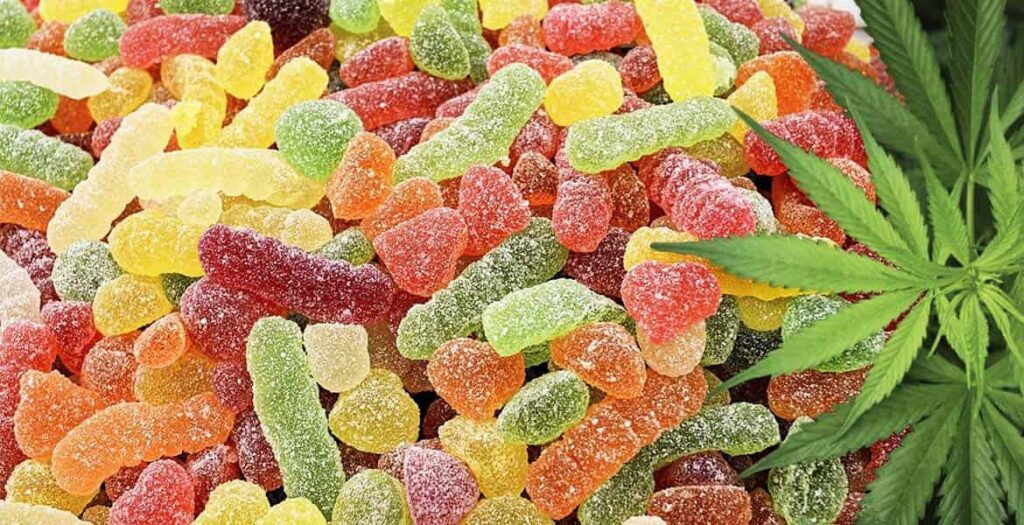 The Rise of Vegan CBD Gummies A Healthier and Kinder Choice